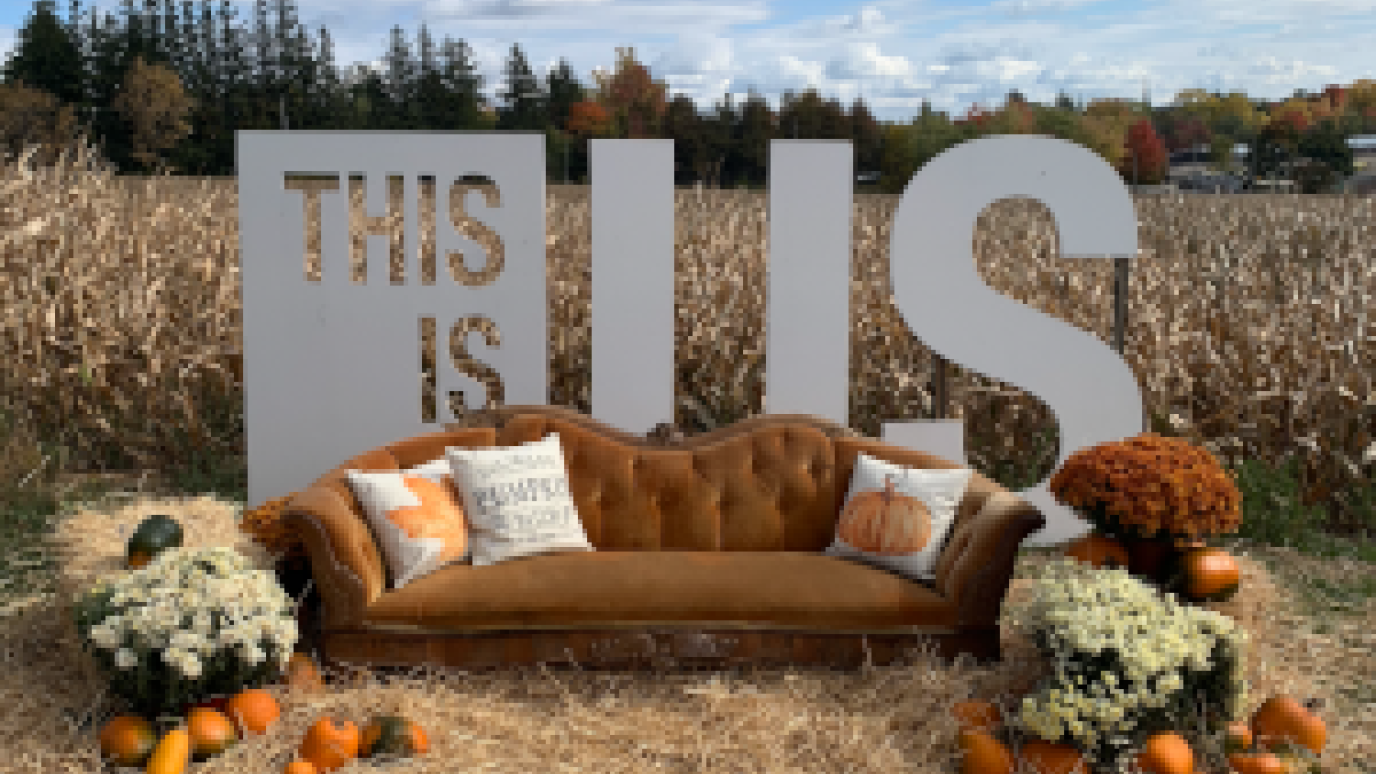 couch and pillows in a corn field
