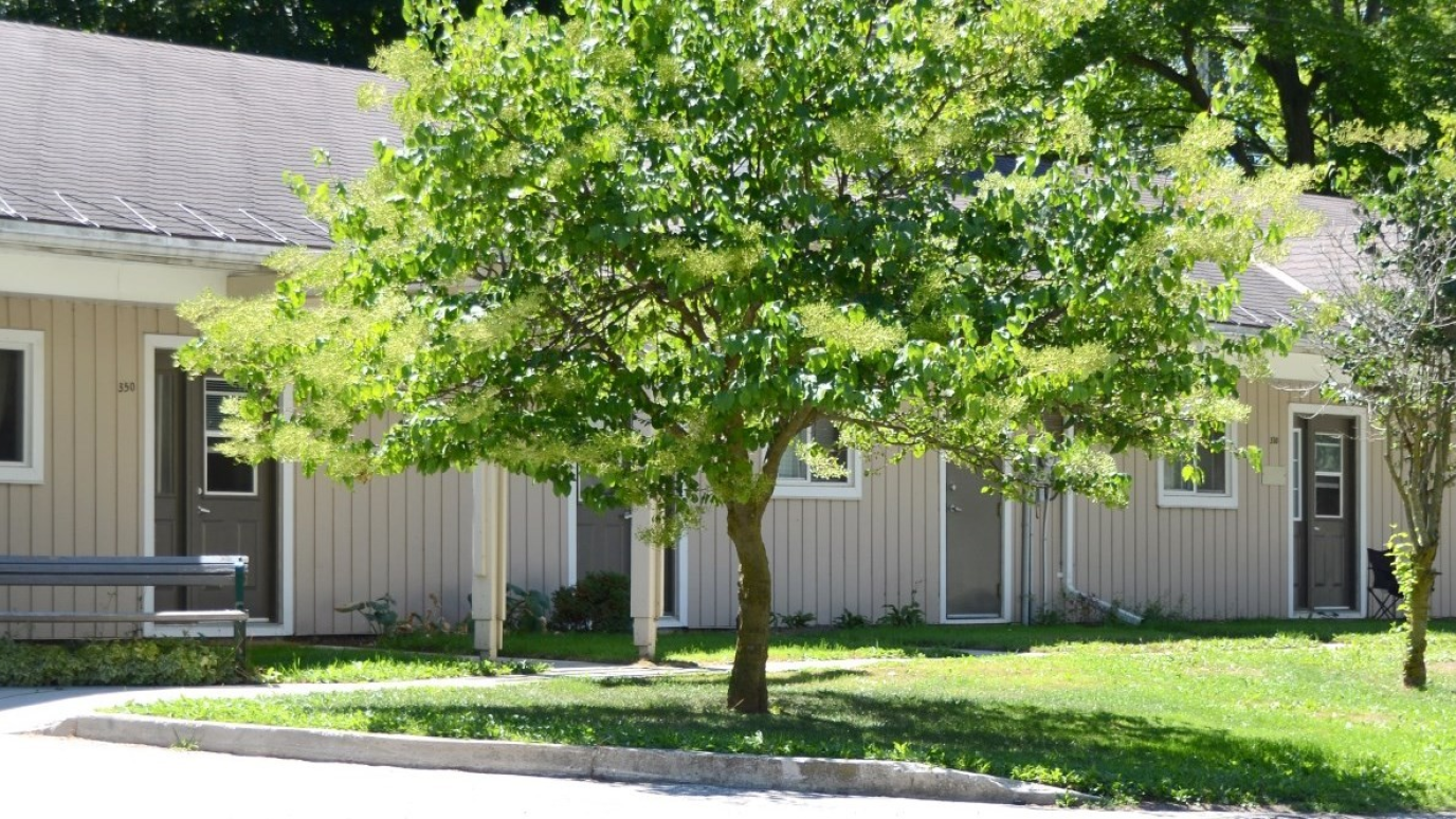 Exteriors of 320-350 Derby, 360 Derby Street, Palmerston