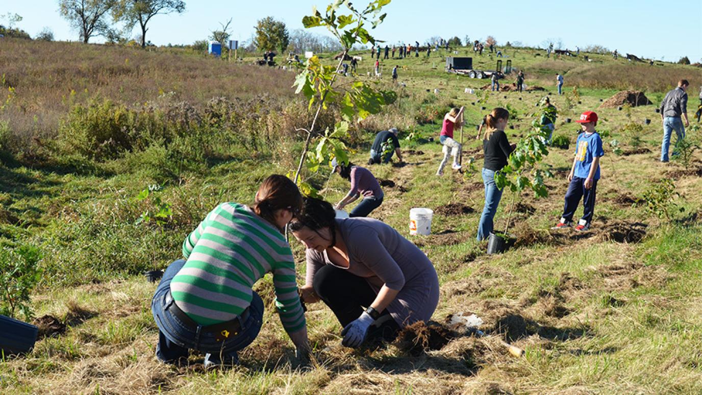 Two women planting a tree with a number of other students in the distance planting trees.