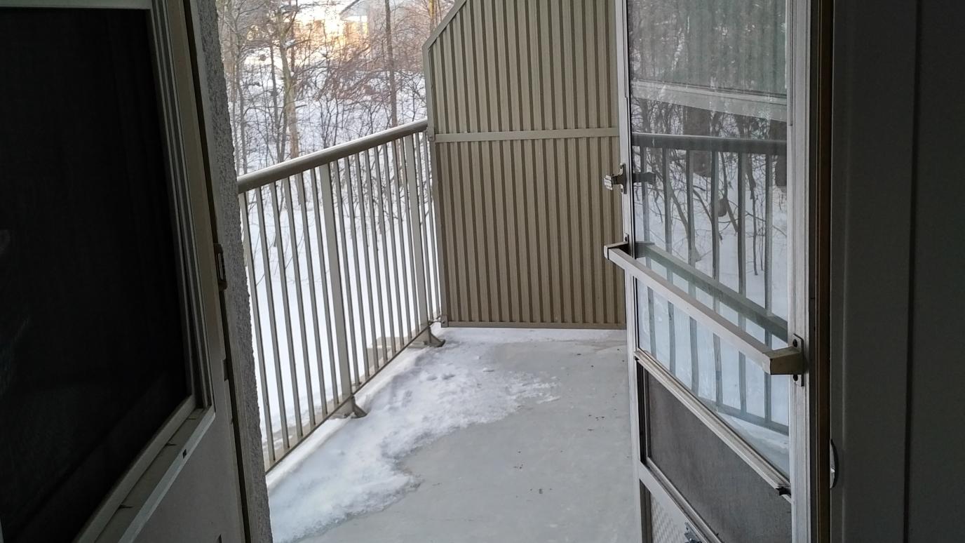 450 Albery Street Balcony Unit View