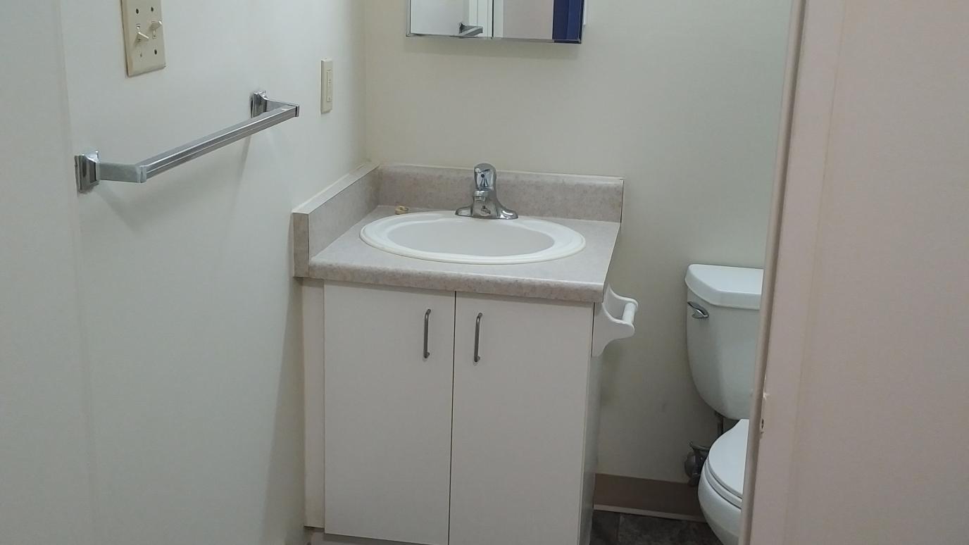 450 Albery Street Bathroom Vanity Unit View