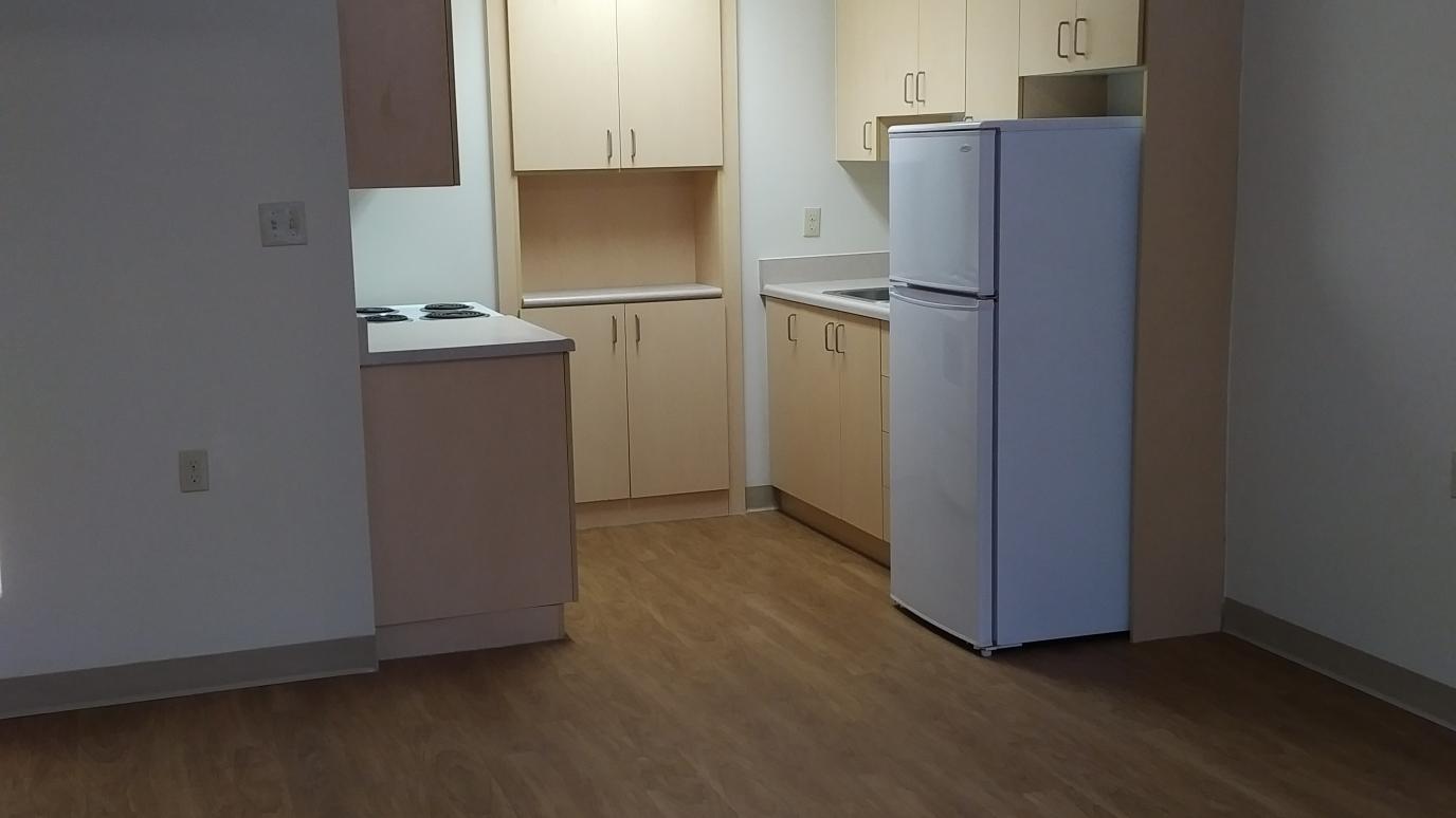 450 Albery Street Kitchen Unit View
