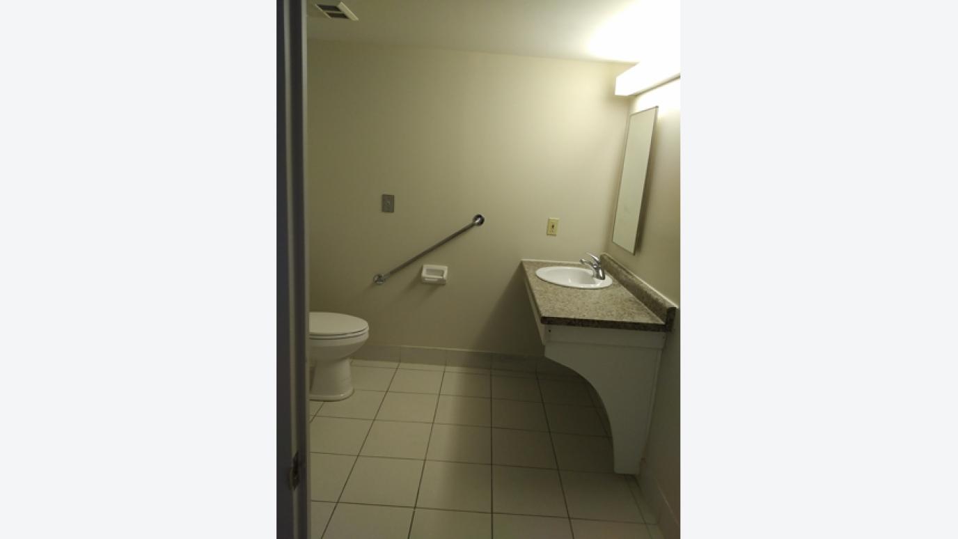 Accessible Bathroom view