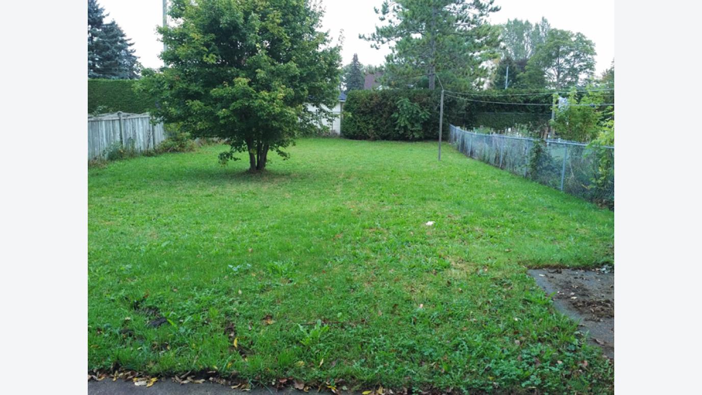 Backyard view