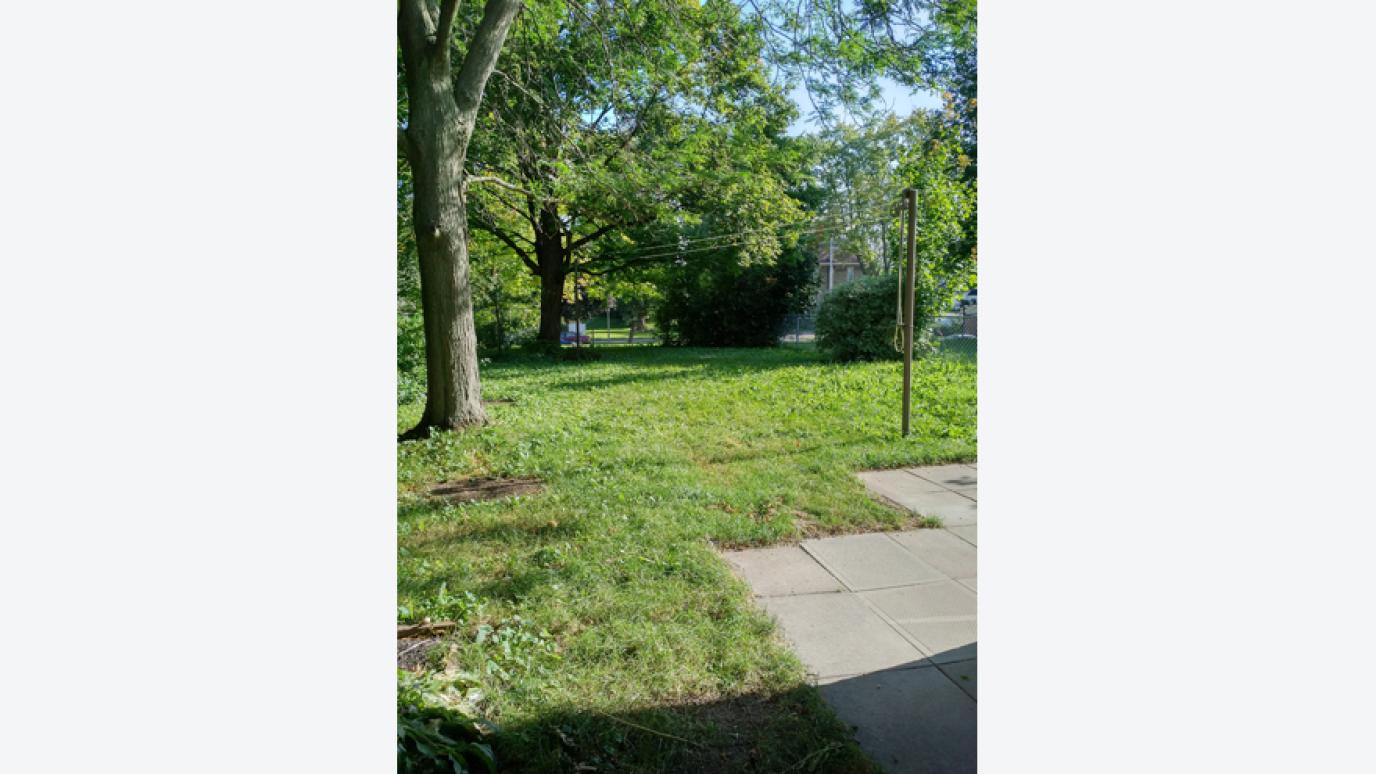 Backyard view