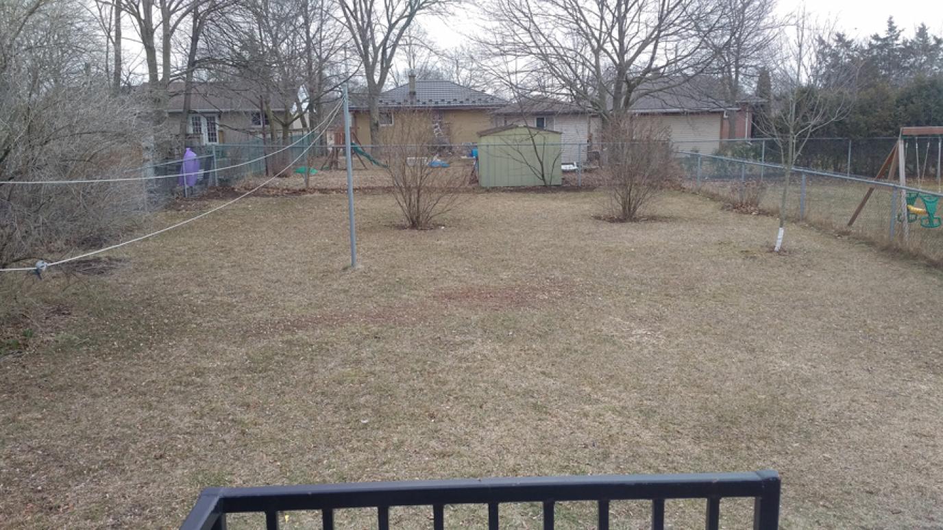 Backyard view