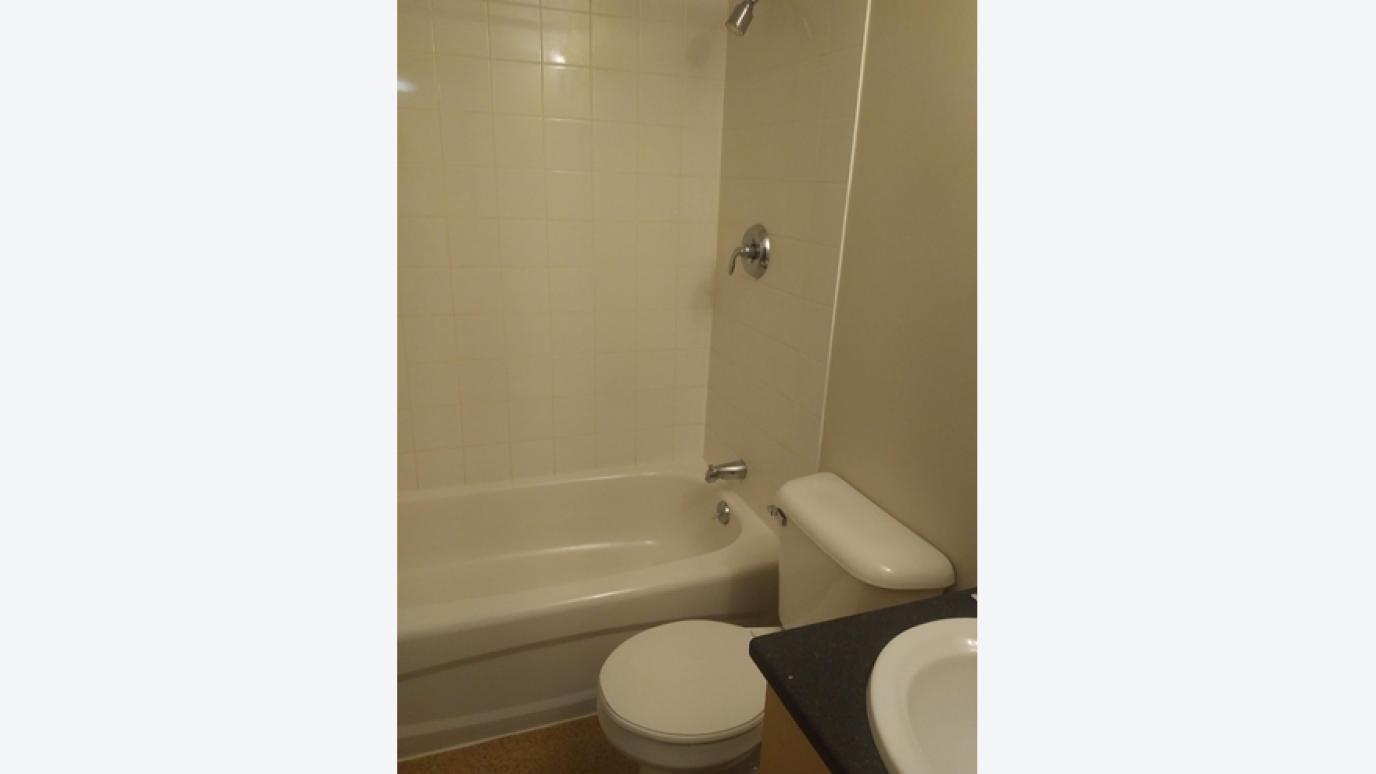 Bathroom View