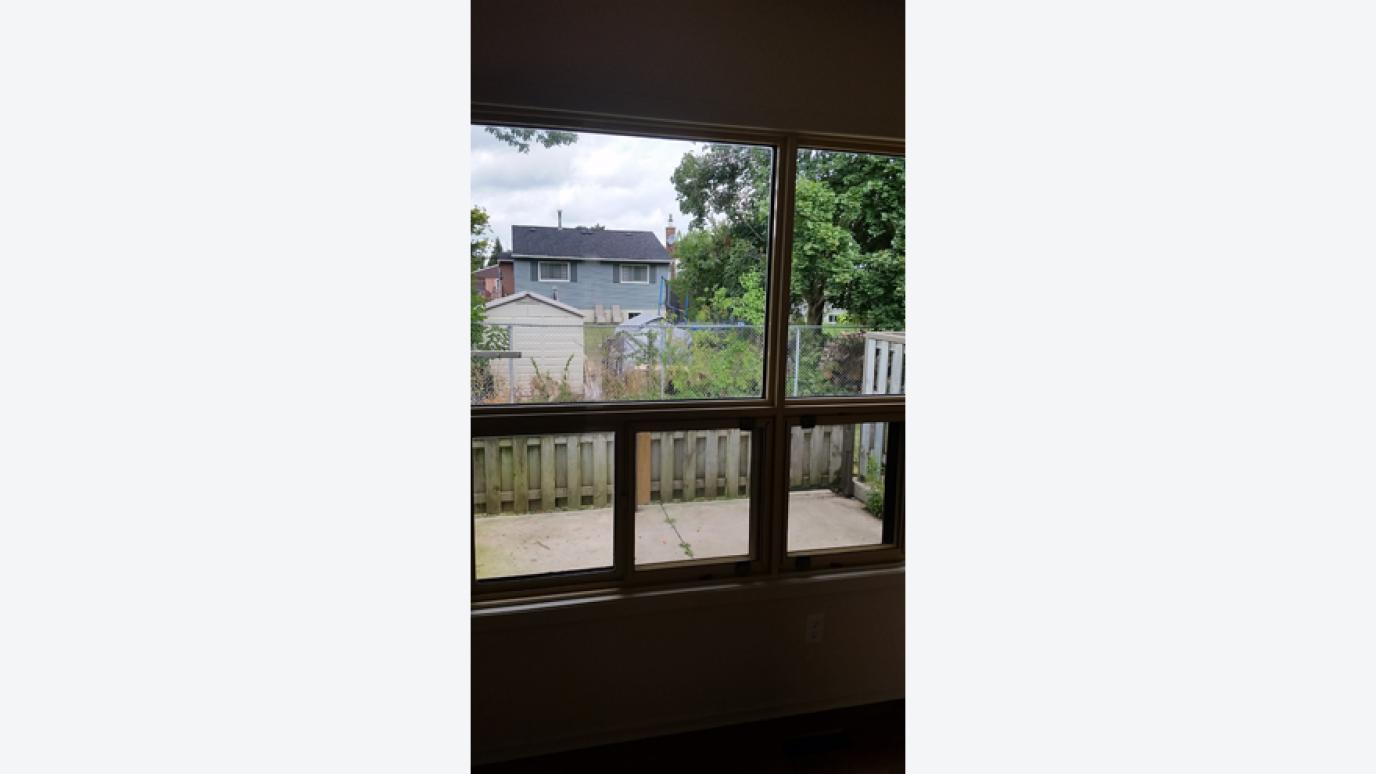 Patio view