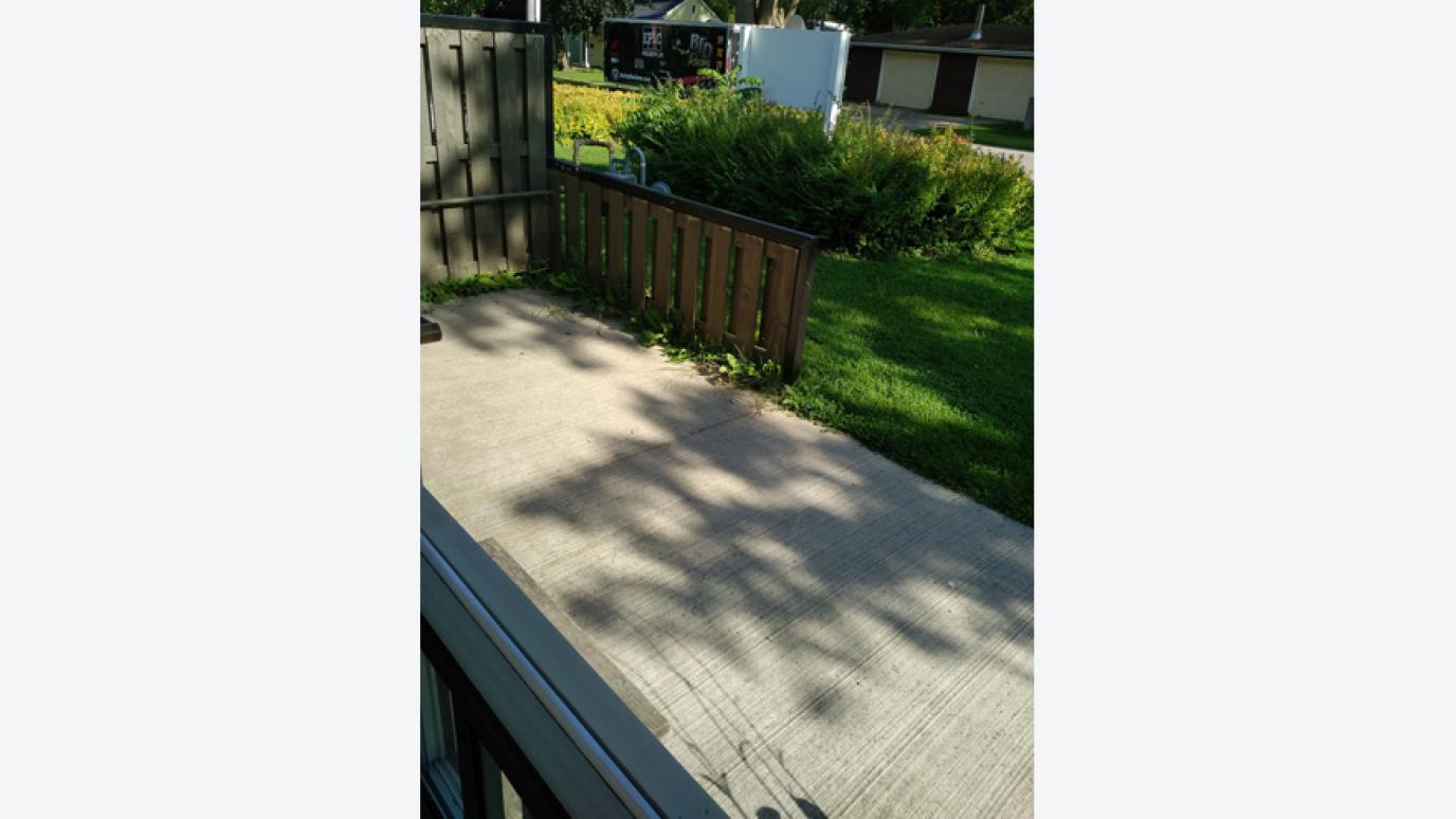 Patio View