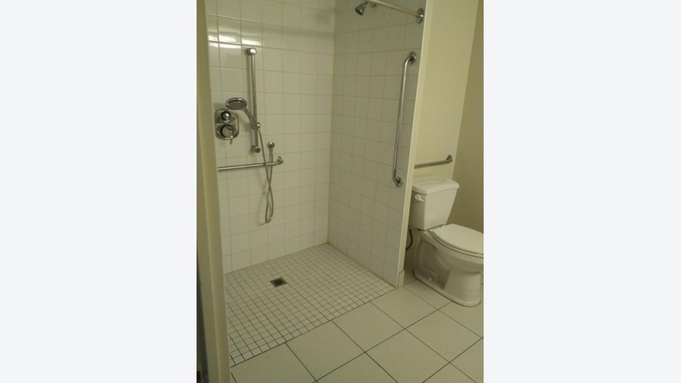 Roll-in-Shower