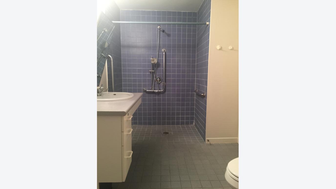 Roll-in shower