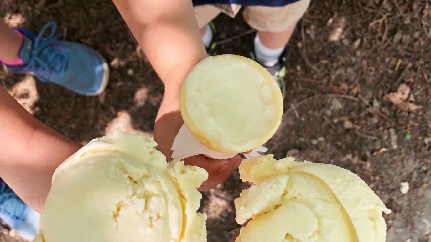kids holding ice-cream cones