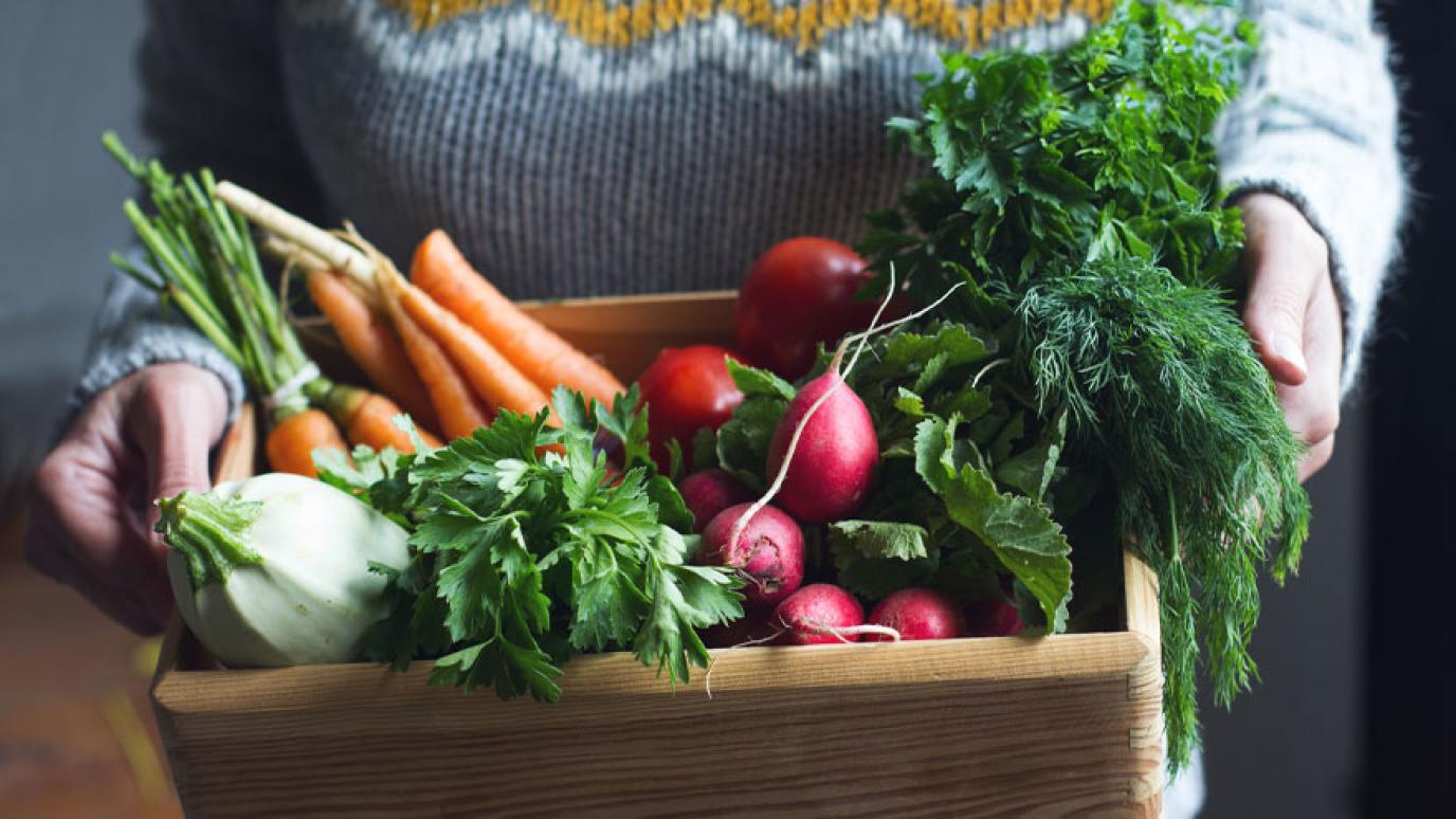 Closeup of young Caucasian woman with grey woven sweater holding a large wooden crate full of raw freshly harvested vegetables