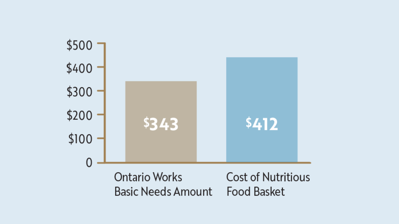 A bar chart showing the Ontario Works Basic Needs amount being $343 while the Cost of Nutritious Food Basket is $412.