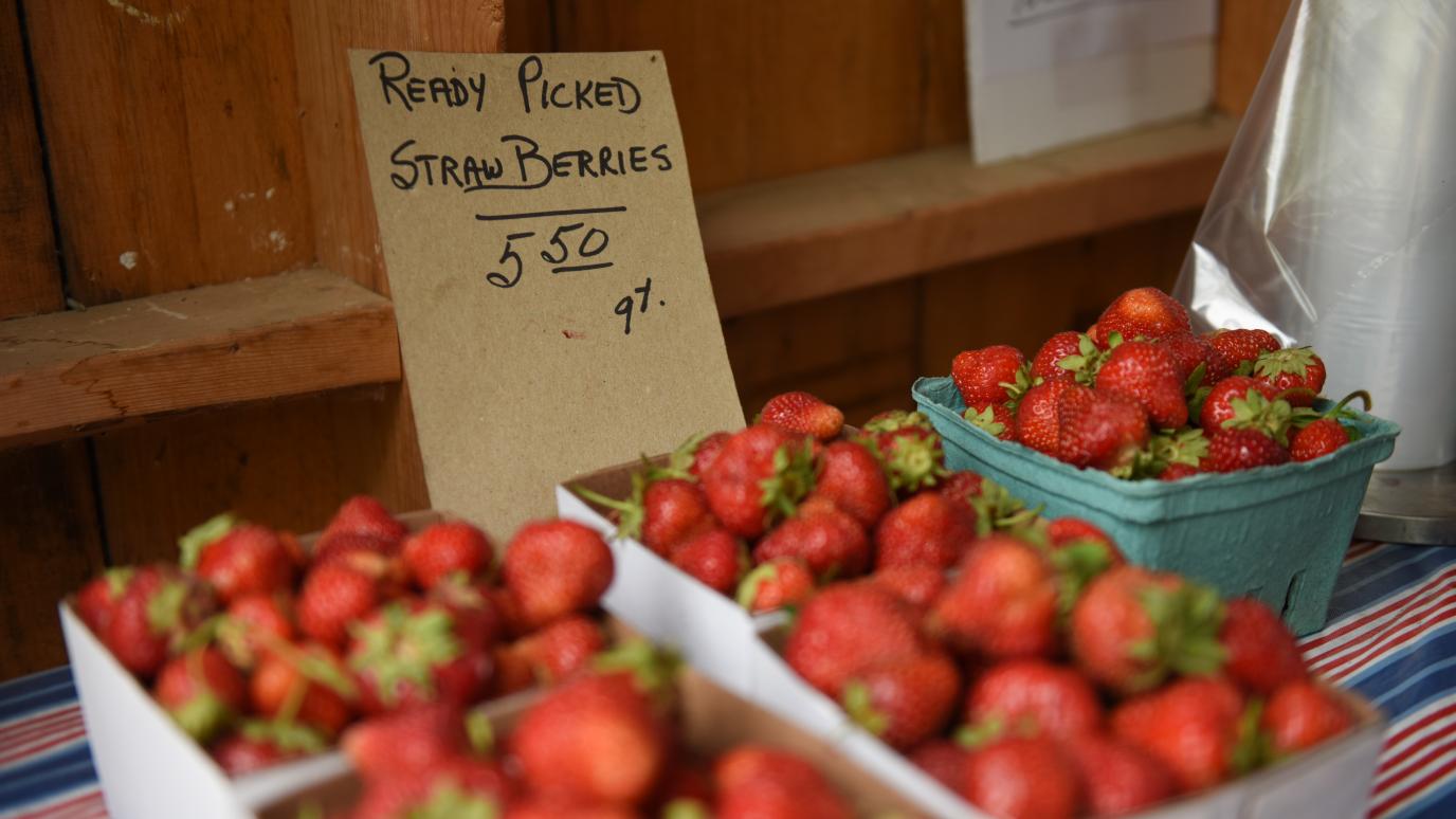 pints of strawberries displayed inside a farm stand