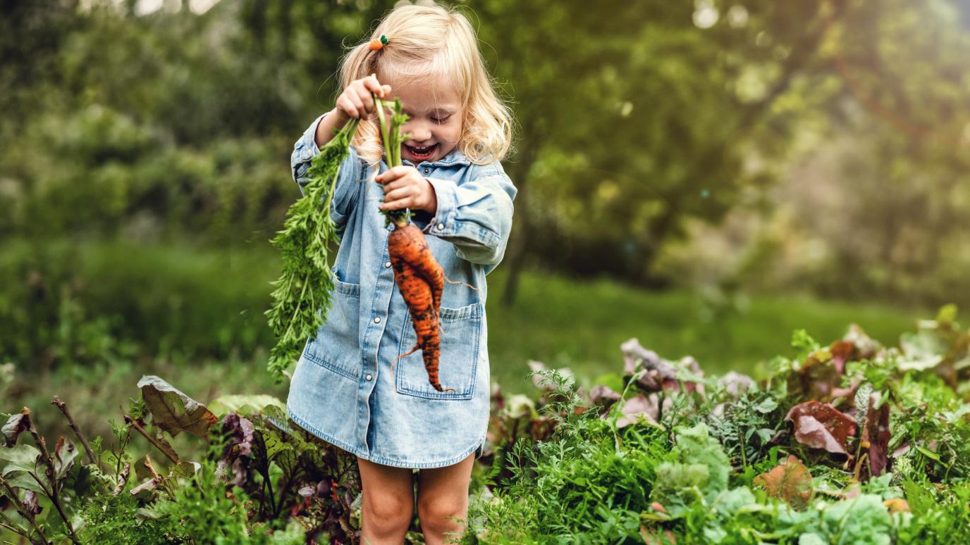 girl holding a carrot in a garden setting