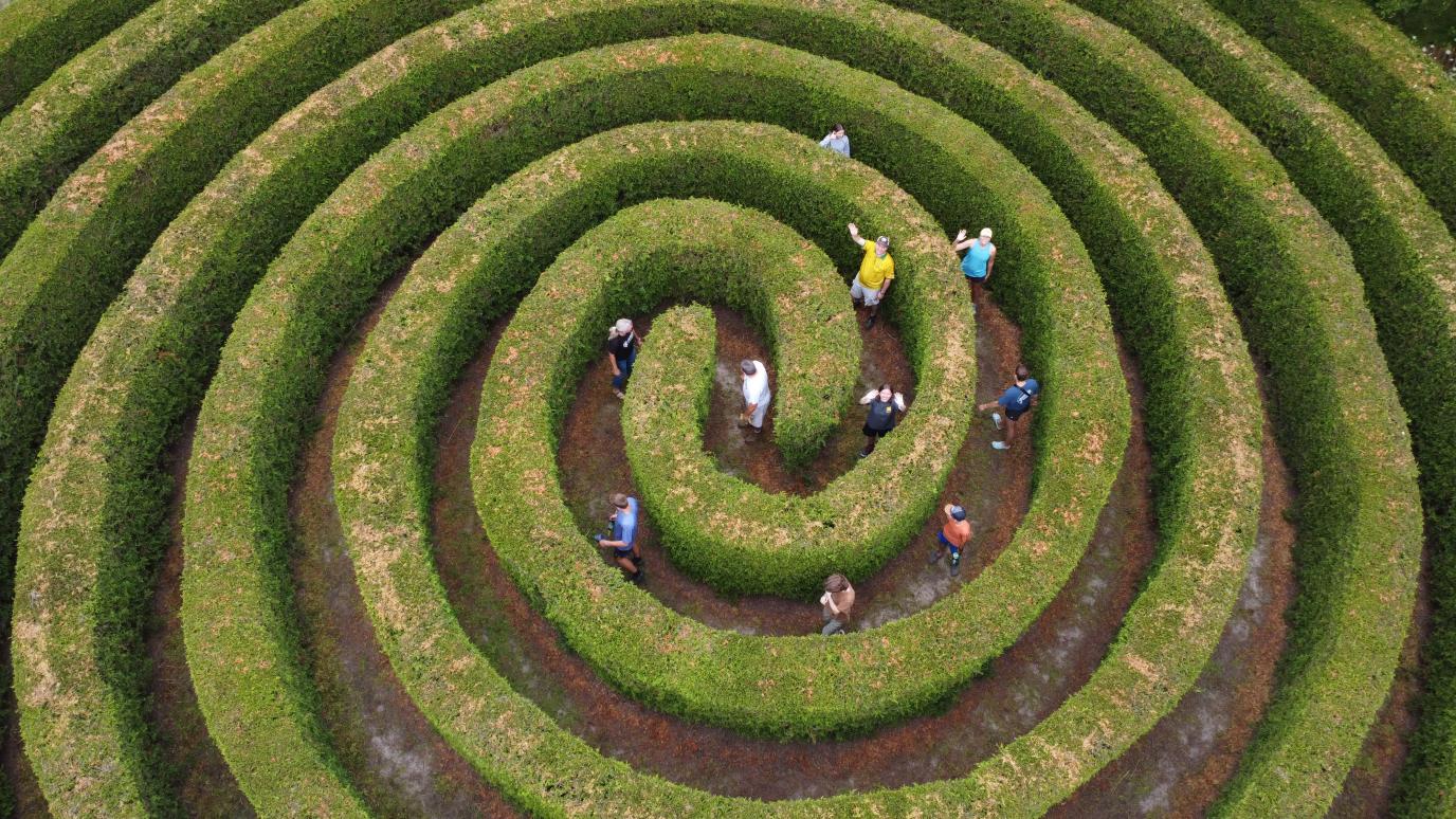 An aerial, top-down view of people walking through a large, circular hedge maze forming concentric spiral rings of green bushes over brown dirt paths.