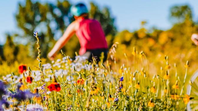 Two young people biking in the background though a rural field with blurred flowers and grasses.