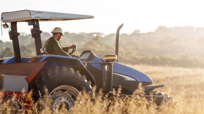 Man on a tractor ploughing a field of wheat at sunrise