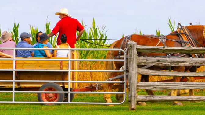 Group of people sitting in a large horse drawn wagon getting a tour through a farm