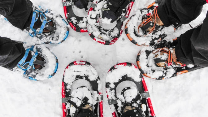 Snow shoes Banner