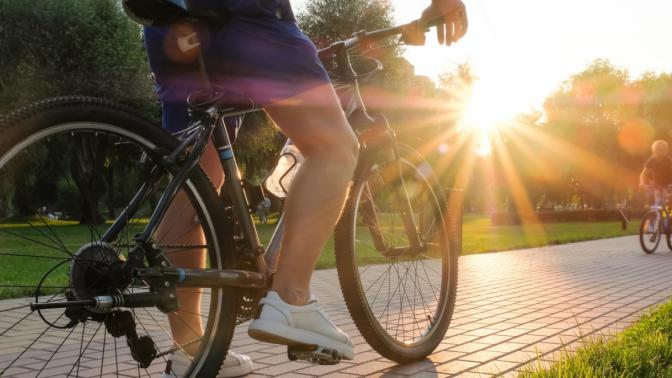 people riding bikes in a park