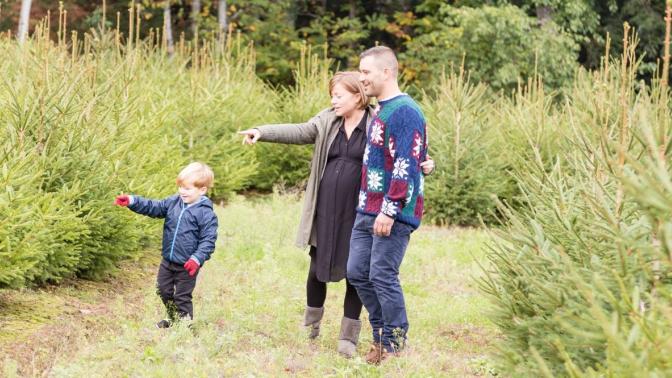 family pointing at evergreen trees