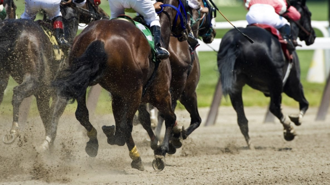 Horse Racing 