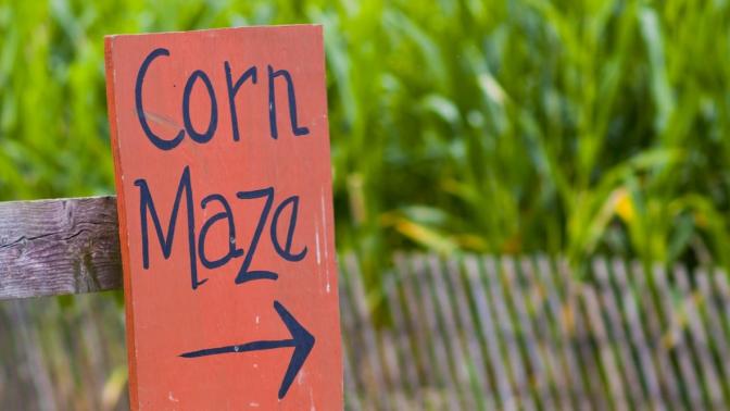 corn maze sign in front of corn field