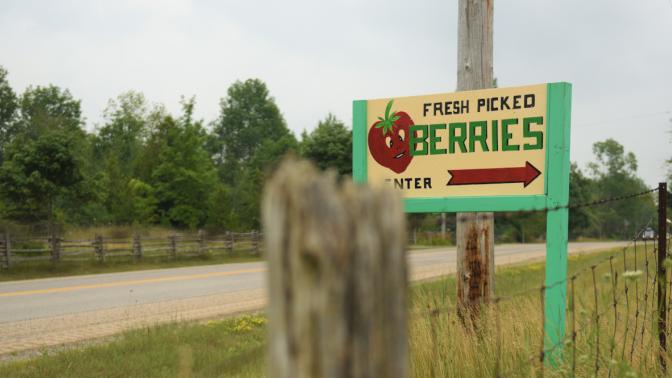 farm gate sign that says fresh berries
