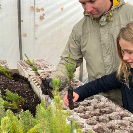 Girl working with a tray of seedlings in the Green Legacy Nursery