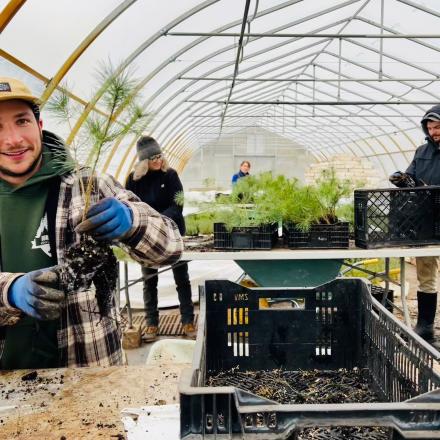 Green Legacy staff in green sweater and plaid shirt wrapping seedlings