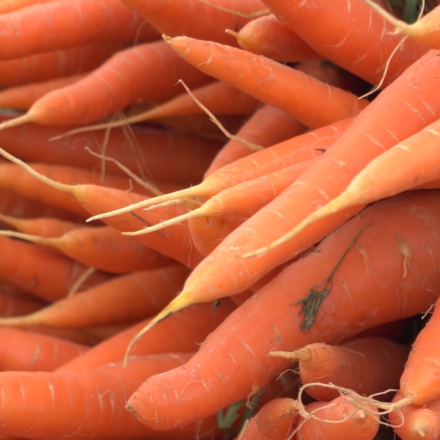 Fresh carrots stacked together 