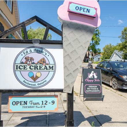 Sign of 'Ed & Rosie's' Ice Cream sign featuring cartoon images of two dogs and a large pink ice cream cone with an 'open' sign. 