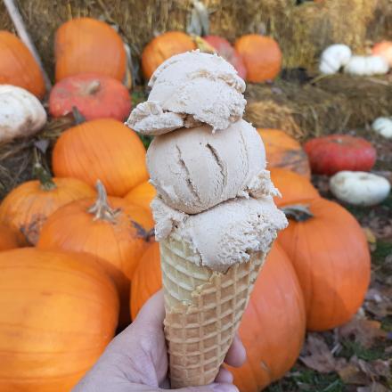 waffle cone of pumpkin ice cream infront of pumpkins