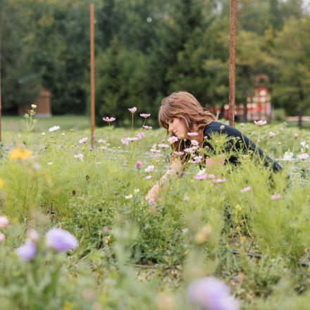 person cutting flowers in a field