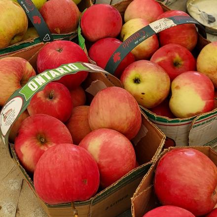 baskets of apples