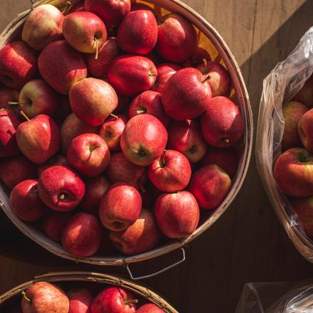 bushel of apples