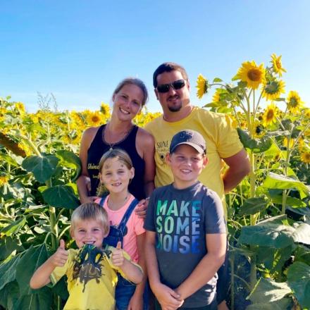 Northwind Bison family in a sunflower field
