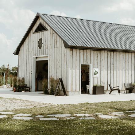Photograph of a white barn surrounded by dormant lavender fields with three people standing in the distance.