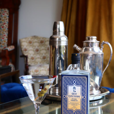 martini glass, spirits and shaker on a glass table