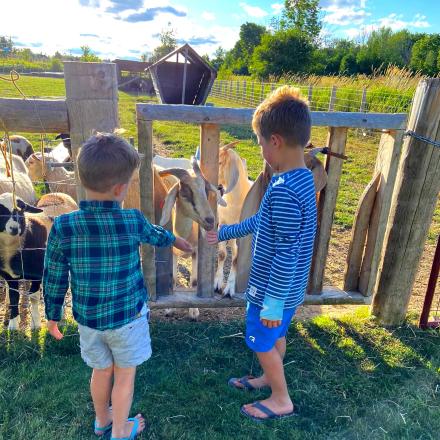 two kids petting goats