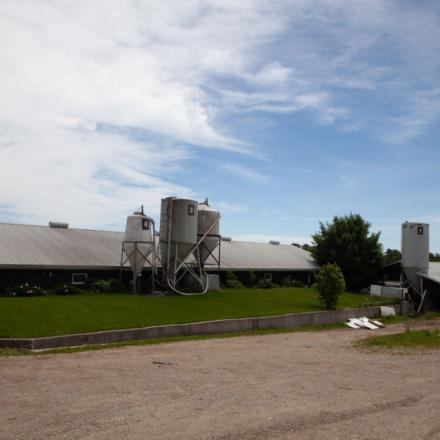 outside of meat farm operations