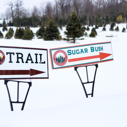 two signs in the snow that say trail and sugar bush
