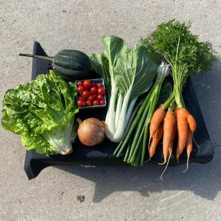 array of vegetables on a table for a CSA