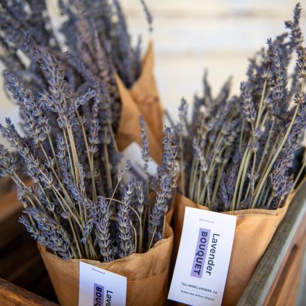 bouquets of lavender wrapped in brown paper