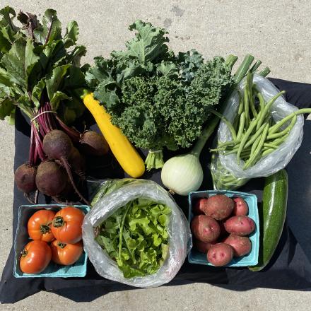 array of vegetables on a table for a CSA