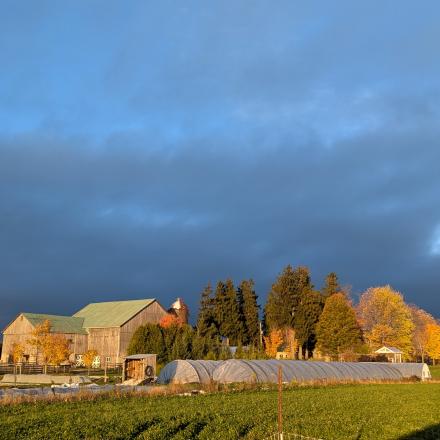 A rural farmstead at golden hour, with a farmhouse and barns set among autumn-coloured trees, a green field in the foreground, and dramatic clouds lit by warm evening sunlight