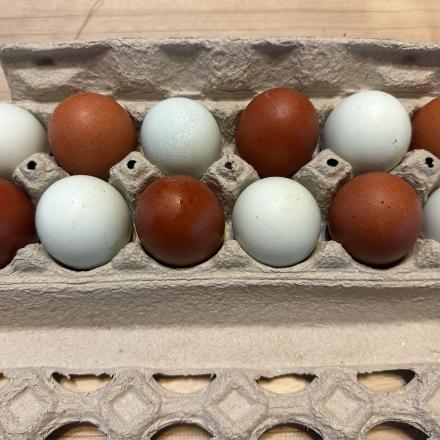 multicoloured eggs in a carton