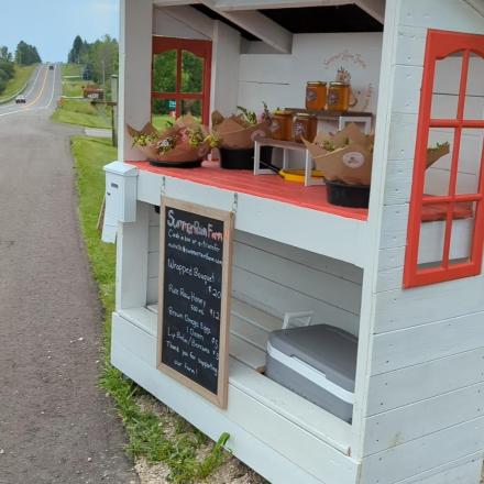 A white wooden farm stand with various jars and produce baskets displayed on its counter.